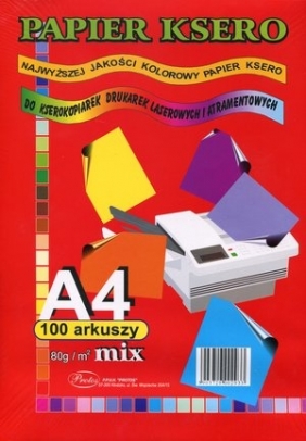 Papier ksero A4/100 arkuszy - kolorowy (202581)