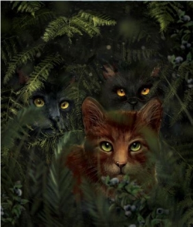 Wojownicy. Wydanie ilustrowane. Ucieczka w dzicz. Tom 1 - Erin Hunter