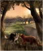 Wojownicy. Wydanie ilustrowane. Ucieczka w dzicz. Tom 1 - Erin Hunter