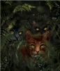 Wojownicy. Wydanie ilustrowane. Ucieczka w dzicz. Tom 1 - Erin Hunter