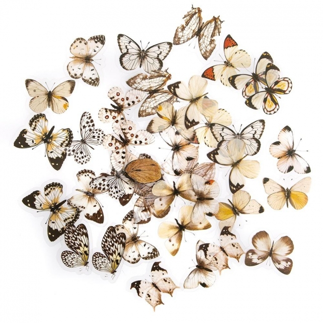 <img src='https://webimage.pl/pics/933/4/d5907590024933.jpg'>