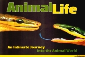 Animal life. An Intimate Journey. Into the Animal World - Heidi Koch