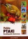 Polska Ptaki Encyklopedia ilustrowana
