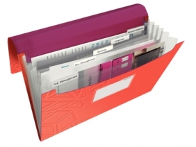 Teczka z przegródkami Leitz URBAN CHIC (3997-00-24)