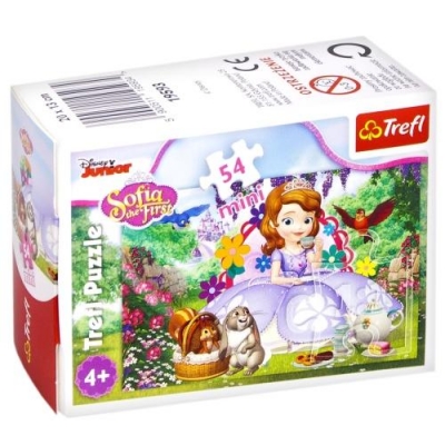 Puzzle mini 54: Magiczny świat księżniczki 3 TREFL