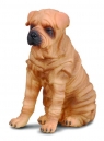 Pies rasy Shar Pei (88193)