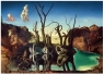 Ravensburger, Puzzle 1000: Dali (12000193)