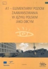 A1 - Elementarny poziom zaawansowania w języku polskim jako obcym