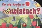 Co się kryje w kwiatach? Rymowanka-podglądanka - Opracowanie zbiorowe
