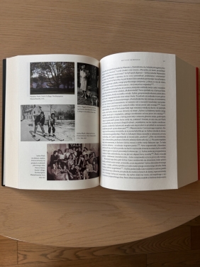 Czerwona kometa. Krótkie życie i nieśmiertelna sztuka Sylvii Plath - Heather Clark