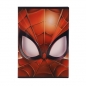 Zeszyt Mst Toys Spider-man A5 54k. 80 g krata (234159)