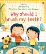  Why Should I Brush My Teeth? (Board book)