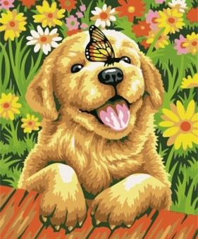 Malowanie po numerach 40x50cm Piesek z motylem