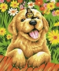 Malowanie po numerach 40x50cm Piesek z motylem