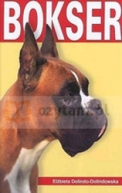 Bokser