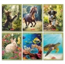 Zeszyt Animals A5/16k kratka kolorowa, 1 szt
