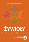  Żywioły Poziom 3Materiały na zajęcia rozwijające kreatywność