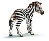 Zebra źrebię - 14393