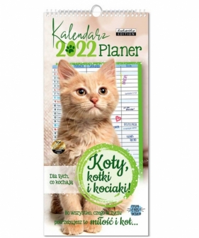 Kalendarz 2022 ścienny planer Koty (KALPLKOTY22)