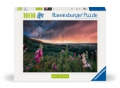 Ravensburger, Puzzle 1000: Nadchodzi burza (12000793)