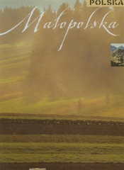 Małopolska wersja polska