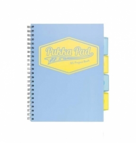 Project Book Pastel B5/100K kratka nieb. (3szt)