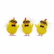 Kurczaki w okularach (YX5938)