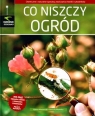 Co niszczy ogród Masternak Hanna, Kulikowska Anna