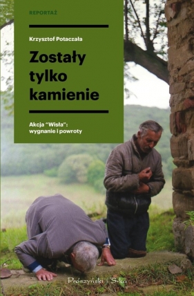 Zostały tylko kamienie - Potaczała Krzysztof