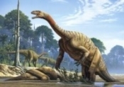Puzzle 500 Plateosaurus (51939) - Opracowanie zbiorowe