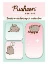 Zestaw 3 notesów ozdobnych - Pusheen
