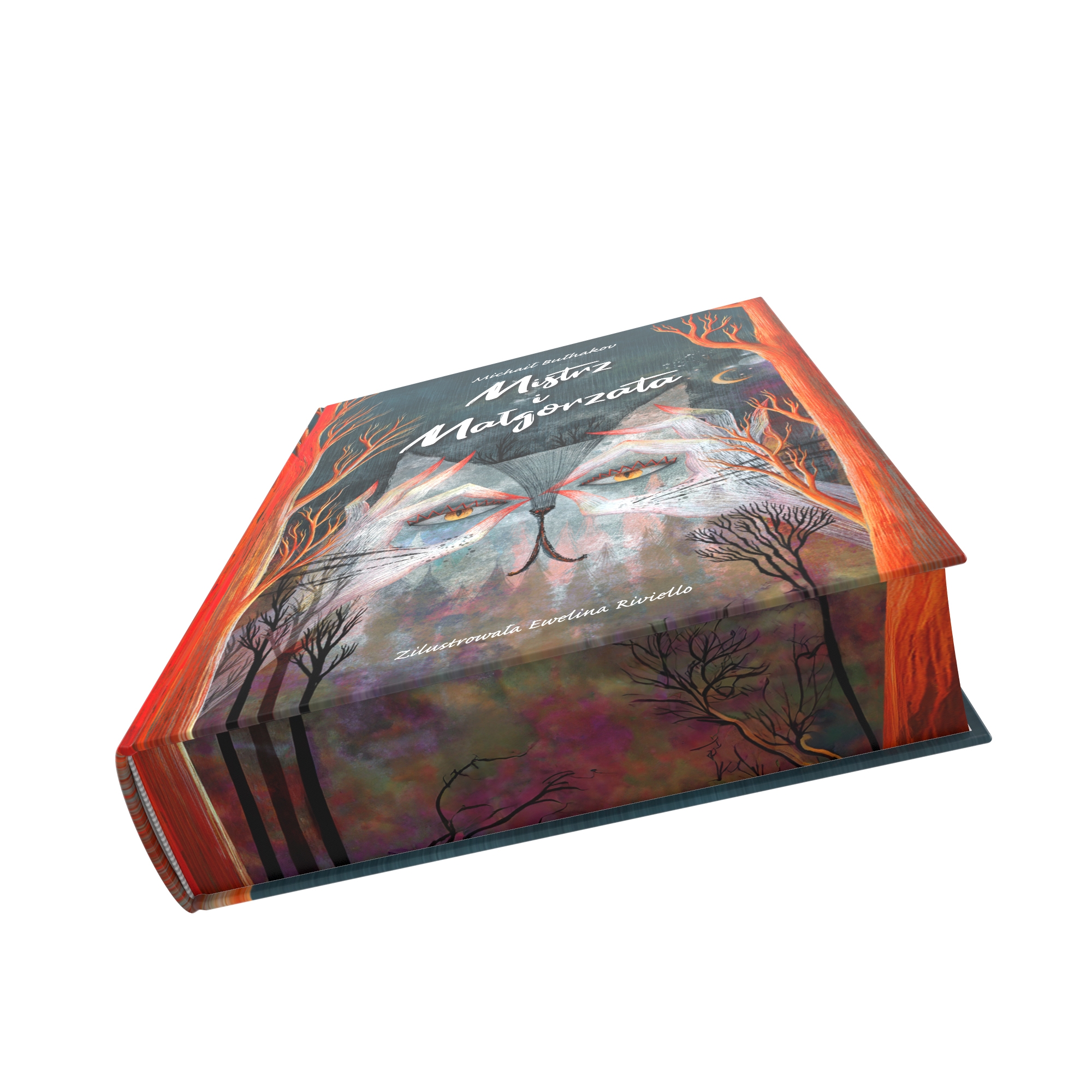 <img src='https://webimage.pl/pics/939/3/d9788382893939_003.jpg'>