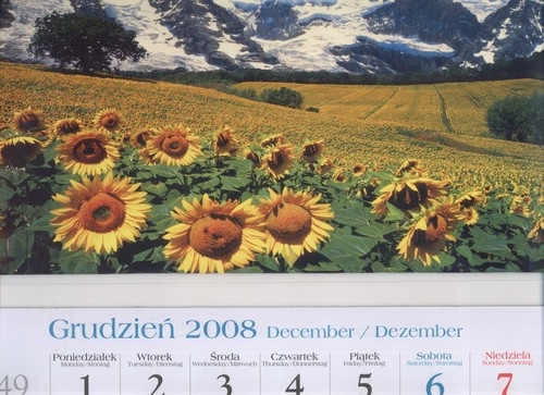 Kalendarz 2009  Słoneczniki