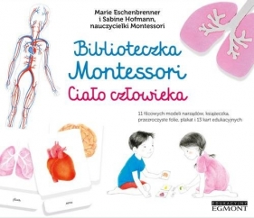 Biblioteczka Montessori Ciało człowieka - Sabine Hofmann, Marie Eschenbrenner
