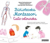 Biblioteczka Montessori Ciało człowieka - Eschenbrenner Marie, Hofmann Sabine