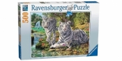 Puzzle 500 Białe tygrysy