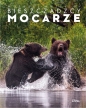 Bieszczadzcy mocarze - Mateusz Matysiak