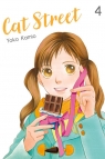  Cat Street 4