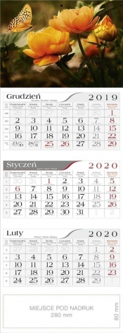 Kalendarz 2020 Trójdzielny Motyl CRUX