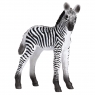  Figurka Zebra źrebię3+