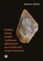 Przykłady strategii produkcji i użytkowania paleolitycznych oraz mezolitycznych narzędzi krzemiennych - Katarzyna Pyżewicz