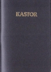 Kalendarz 2026 plastik MIX