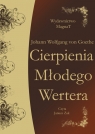 Cierpienia młodego Wertera Goethe Johann Wolfgang