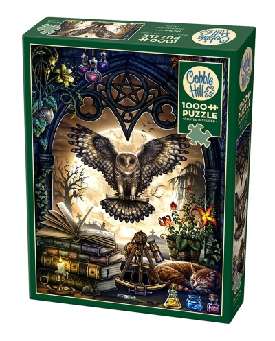 Puzzle 1000 Biurko alchemika 113041