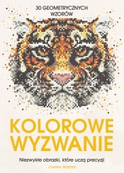 Kolorowe wyzwanie. Niezwykłe obrazki, które uczą precyzji - Joanna Webster