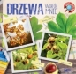 Rosnę i odkrywam. Drzewa wokół nas - Opracowanie zbiorowe