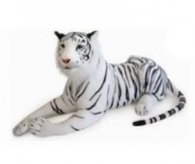 Tygrys biały 90cm