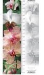 Zakładka 3D Orchidea