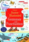 Junior Illustrated Grammar and Punctuation Bingham Jane