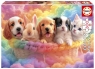 Puzzle Koledzy z koszyka 300 el 114071 8+